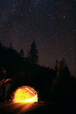 wonderous-world:  Yosemite National Park,