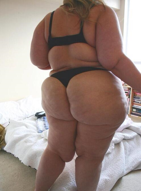 Bbw Love