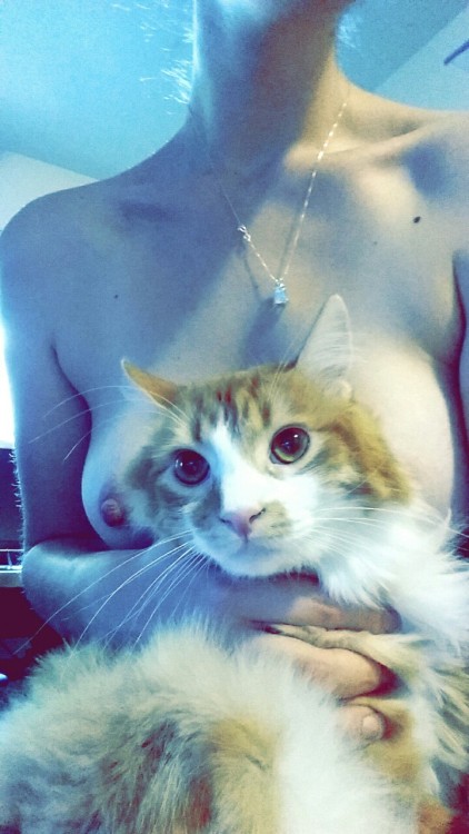 Kitties n titties 