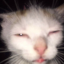 jasi-smells-good