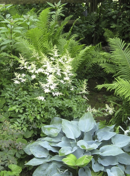 Garden scenes today, Part One.