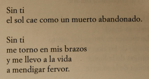 hachedesilencio:  Alejandra Pizarnik