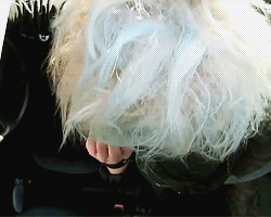 :  CAR SURFING 