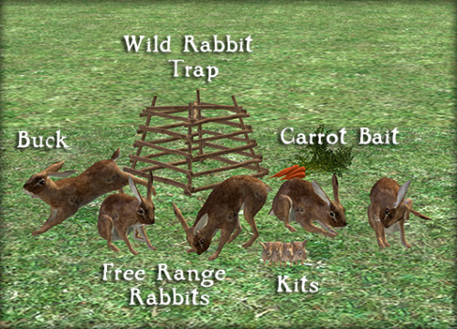 sunmoon-starfactory:Rascally Rabbits - Rabbit Hutch Redux Not something that many people asked for b