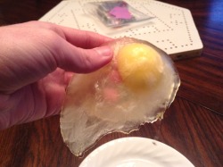 megs-the-magnificent:  ultrannoying:  laptopped:  ultrannoying:  i cracked an egg on a plate outside and within four minutes it was frozen  where do you live? the antarctic?  wisconsin  Close enough 