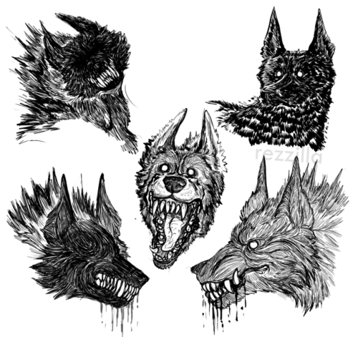 some not-dogs for different moods(do not tag with kintypes)