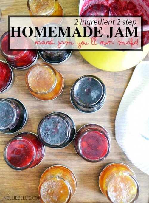 DIY Easy 2 Ingredient Jam Tutorial and Recipes from Nellie BellieAll you need is frozen fruit and su