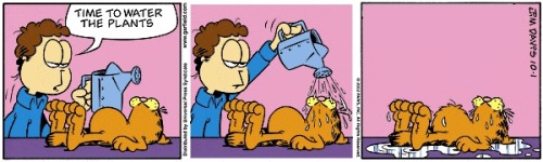 XXX dragondicks:  bogleech:  I know Garfield photo