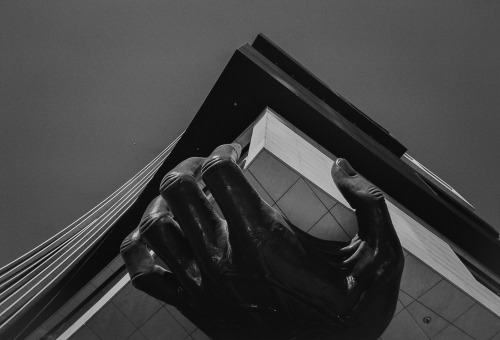alexandraribeiropsm:  keep holding on Photo © Alexandra Ribeiro Lisbon, Portugal