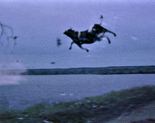 TWISTER1996 Dir. Jan De Bont