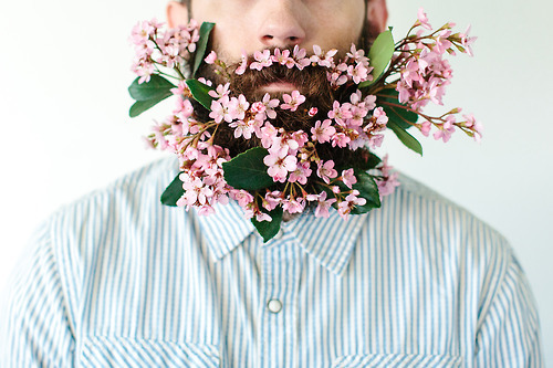 aimlessscribbles:  Flower beards <3  