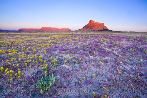 (From Good Badlands: Dry Terrain of the American West Captured in a Brief Moment of Color by Guy Tal | Colossal)
Guy Tal Photography (http://guytal.com)