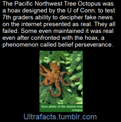 ultrafacts:  Researchers assigned internet-savy