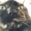 ASK ME ABOUT VIDEO GAMES