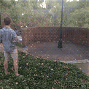 googifs:It’s so smoothh