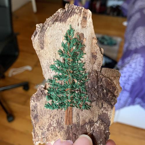 embroiderycrafts:Pine tree on birch bark. by BookishlyBright