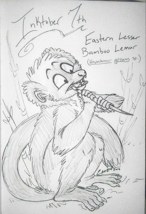 Inktober 7th – Eastern Lesser Bamboo Lemur!Finally almost caught up! Whew!! Doodled this one i