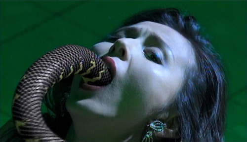 zanythingblaze: Aya Sugimoto     Fantasy of Masochist woman.Flower and Snake