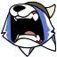 bluezesttv