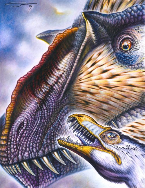 fuckyeahdinoart:Dilong paradoxus and Yutyrannus huali by PaleoPastori
