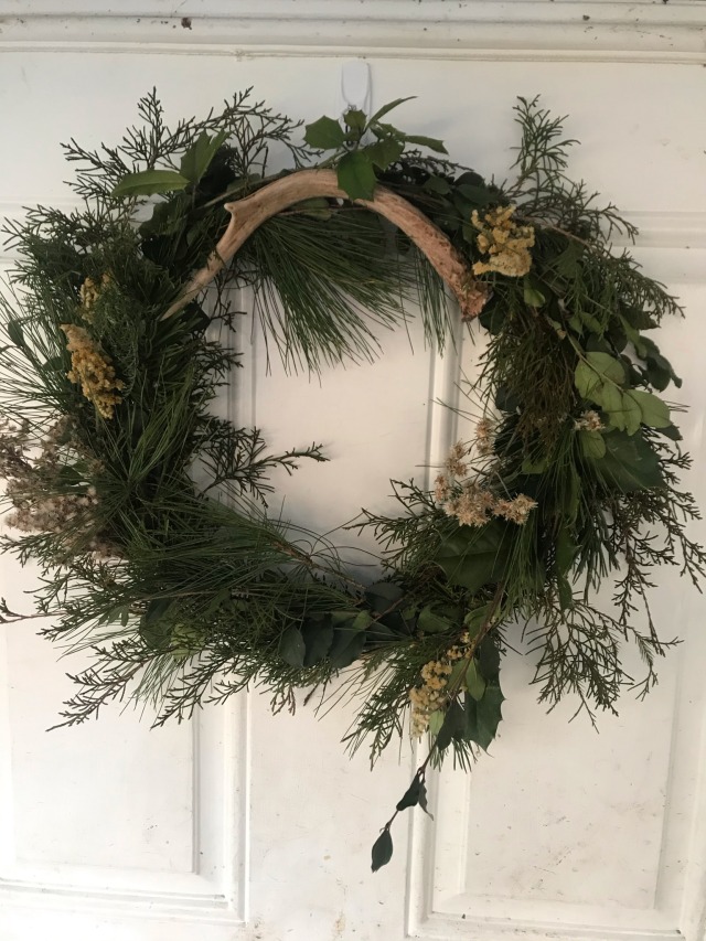 a circular wreath on a door with a deer antler in the top center of it. the wreath includes several types of evergreen as well as dried flowers and Holly branches.