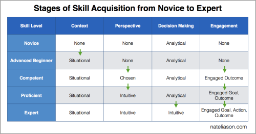 The Step-by-Step Guide to Go From Novice to Expert in Any Skill