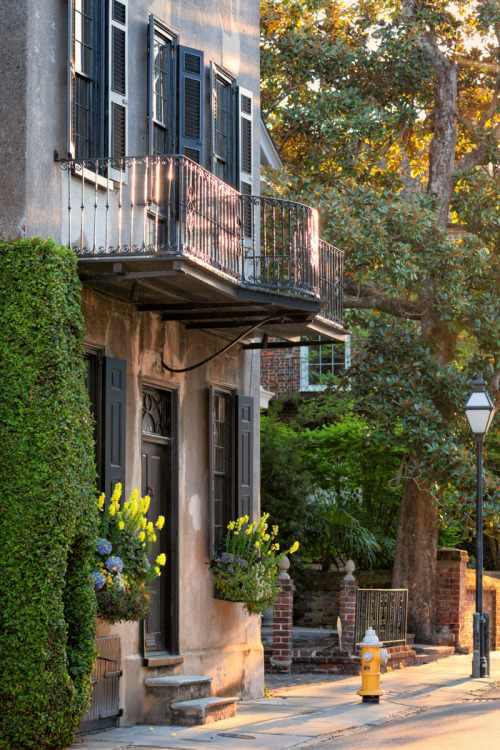 Colonial Era House along Tradd Street at Sunrise, Charleston, SC© Doug Hickok   More here…   