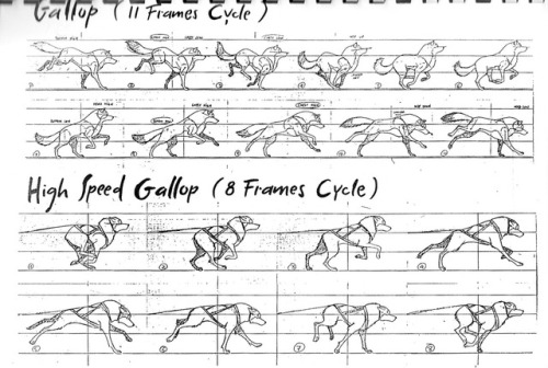 Animation cycle of a dog walk, trot, run, and turn. From the 1995 animated feature, Balto.