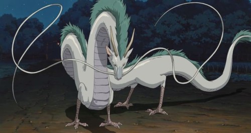 Hmmmm I Really Should've Known I Was Trans When I Was More Focused On Haku Than Chiro