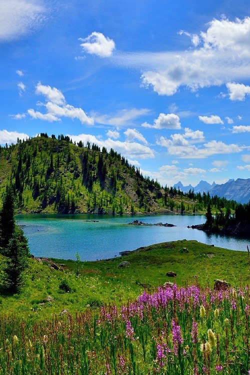 ponderation:  Sunshine Meadows - Banff National Park by Shuchun Du  