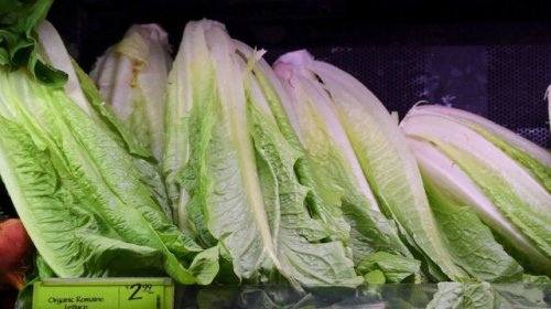 npr:The Centers for Disease Control and Prevention has traced an ongoing E. coli outbreak to romaine