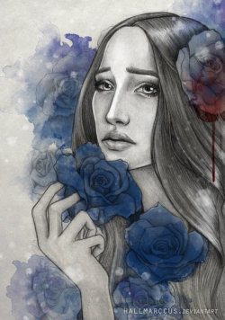 pale blue winter rose