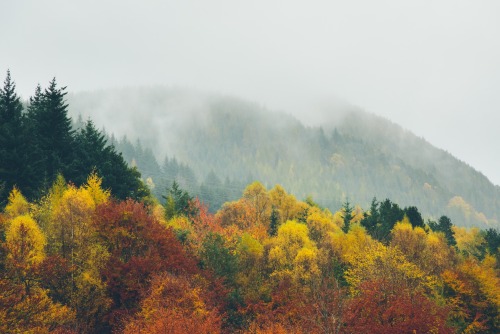 dpcphotography:River Garry, Perthshire www.danielcasson.com