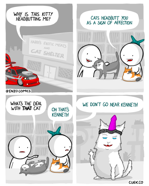 enzocomics:  Old comic: Behaviour http://cuek.co/458  Fucking great comics check this out.