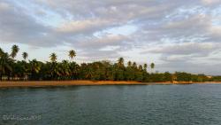 bountybeaches:  Black Eagle Beach, Rincon,