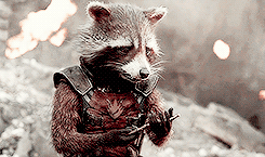 MCU Meme - eight characters; [2/8] Rocket Raccoon