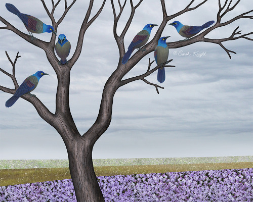 grackles in a tree in spring - Sarah Knight on Society6https://society6.com/product/grackles-in-a-tr