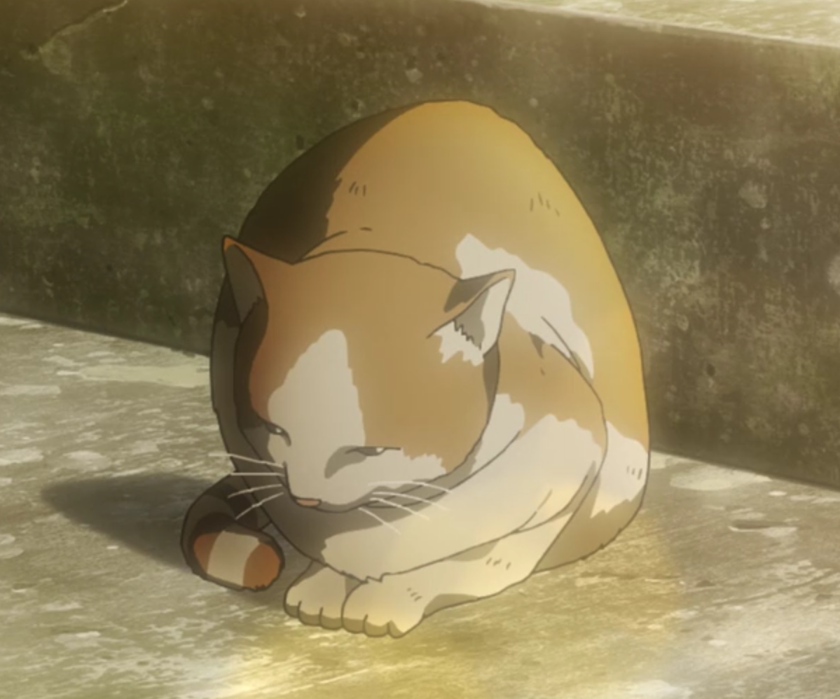 Anime Cat Of The Day 🐾 — Today'S Anime Cat Of The Day Is: This Cat From...