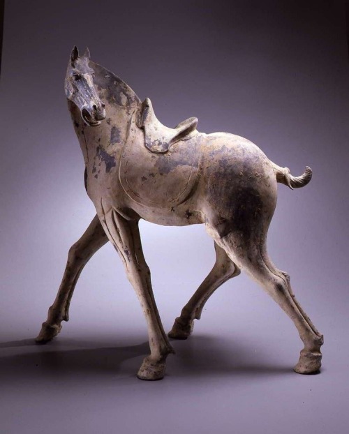 Pottery HorseTang Dynasty (618-907)