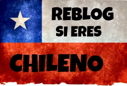 agusmamador: nan977: pico-chileno: lauchadecampo: autremondeimagination: ¡VIVA CHILE! Viva Chile 