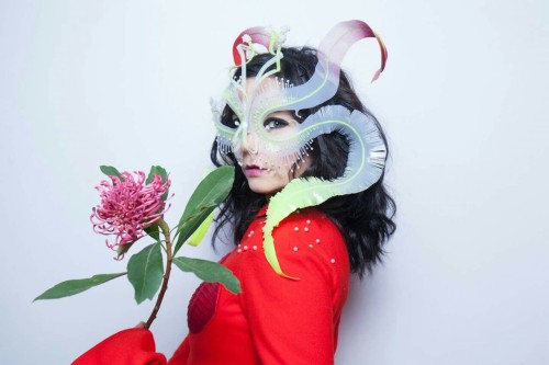 Björk at Red Bull Music Academy, Photographed by Santiago Felipe.