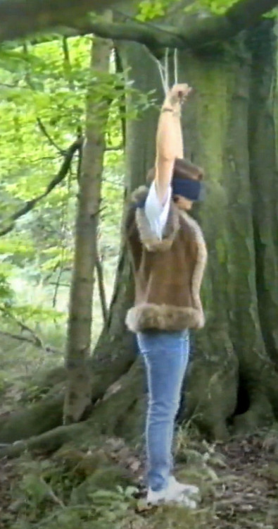 In the woods during summer.Snapshoot from an old video