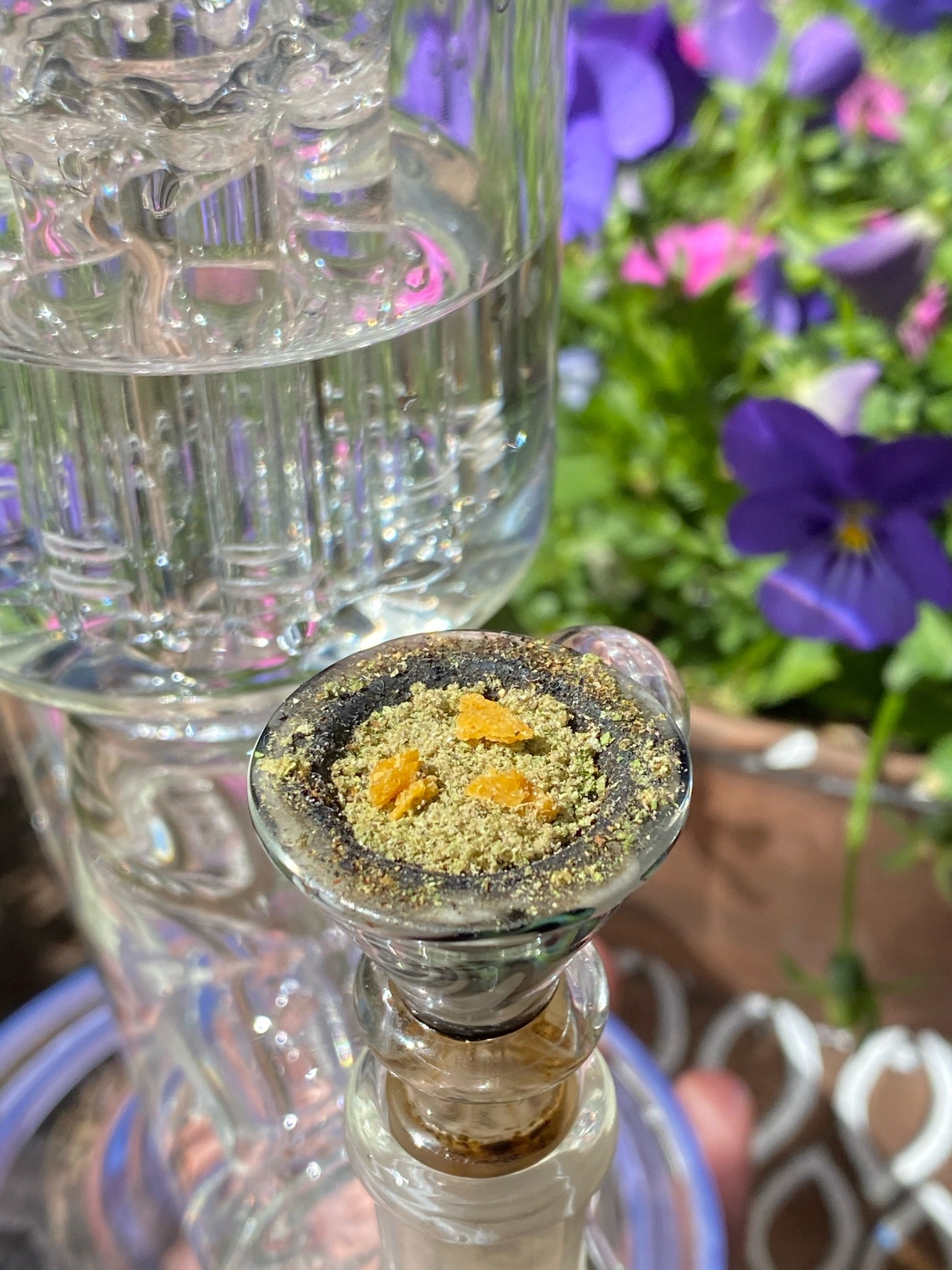 restingbluntface:love my yard 