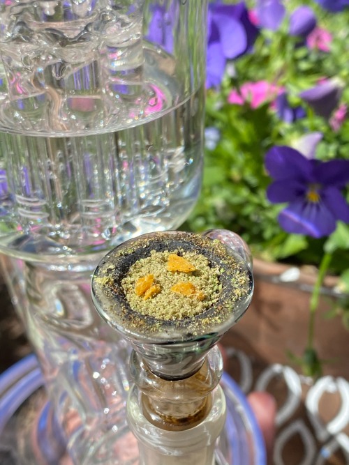 restingbluntface:love my yard 