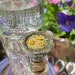 restingbluntface:love my yard 