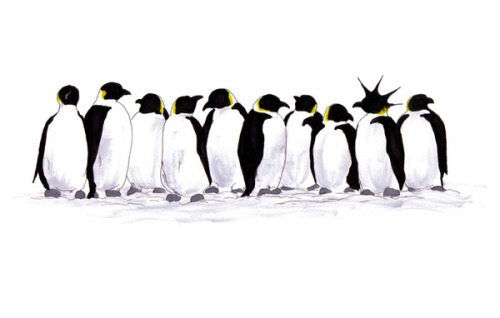 emperor penguin