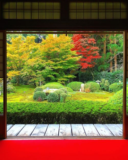 泉涌寺 雲龍院庭園 [ 京都市東山区 ] Sennyuji Unryuin Temple Garden, Kyoto の写真・記事を更新しました。 ーー“悟りの窓”も有名。国重要文化財“龍華院”や徳川