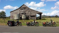 ianyoungducati:  Great to see these old war horses out enjoying the open road followed by a trusty servicar for an ally. 