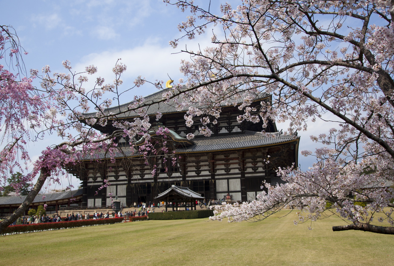 Todai-ji wooden Temple, Nara, Japan. 2014