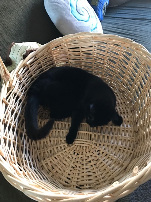 fluffytherapy:My basket.